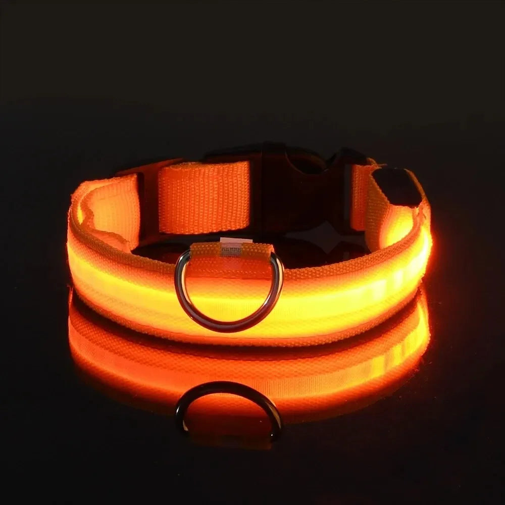 LED Light-Up Dog Collar – Adjustable Nylon Safety Collar with Battery – XS to XL Sizes