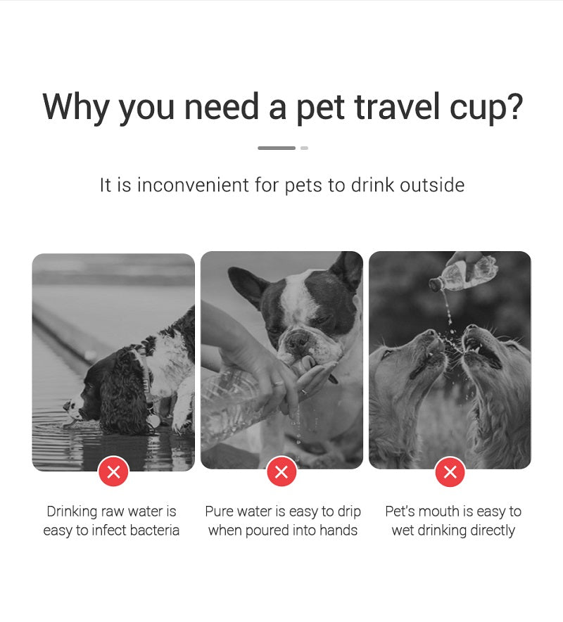 Portable Dog Water Bottle – Eco-Friendly PC Plastic Pet Water Dispenser with Lanyard – 300ml, 350ml, 550ml