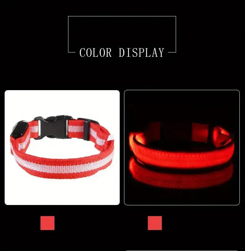 LED Light-Up Dog Collar – Adjustable Nylon Safety Collar with Battery – XS to XL Sizes