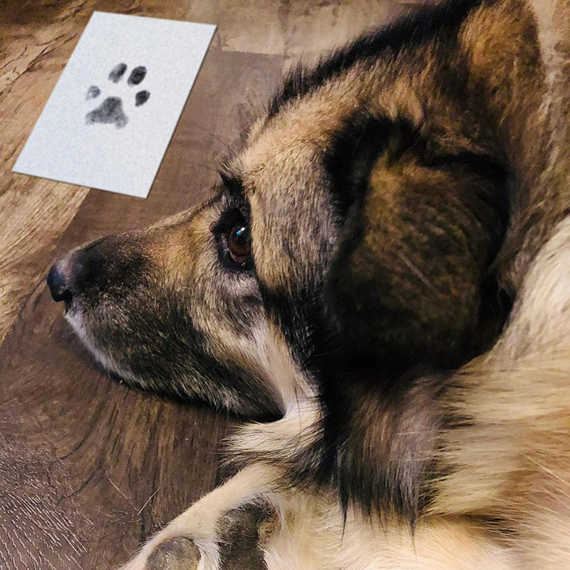 Clean-Touch Pet Paw Print Kit – Ink Pad with 2 Impression Papers for Dogs and Cats