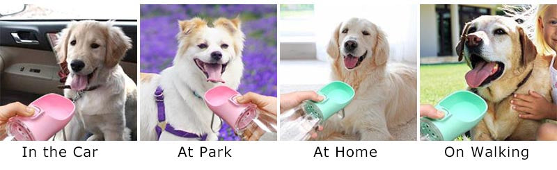 Portable Dog Water Bottle – Eco-Friendly PC Plastic Pet Water Dispenser with Lanyard – 300ml, 350ml, 550ml