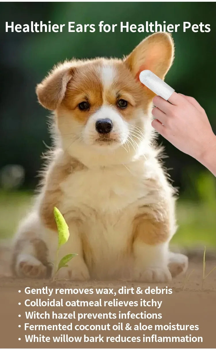 Multi-Purpose Pet Accessory – Suitable for Dogs and Cats