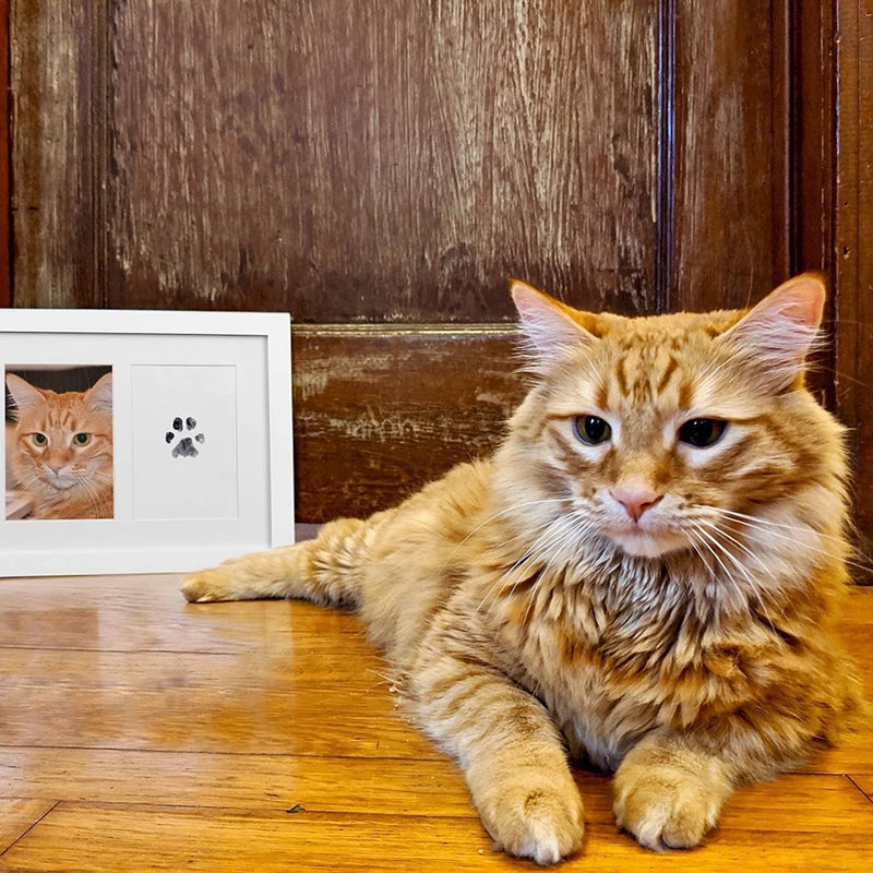 Clean-Touch Pet Paw Print Kit – Ink Pad with 2 Impression Papers for Dogs and Cats