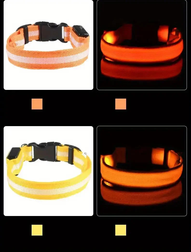 LED Light-Up Dog Collar – Adjustable Nylon Safety Collar with Battery – XS to XL Sizes