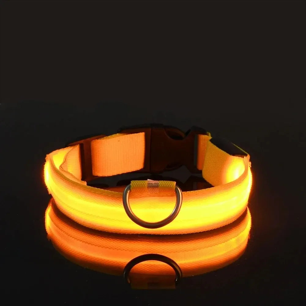 LED Light-Up Dog Collar – Adjustable Nylon Safety Collar with Battery – XS to XL Sizes