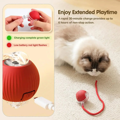 Interactive Smart Cat Toy Ball – USB Rechargeable Bouncy Ball with Tail – Automatic & Obstacle-Avoiding