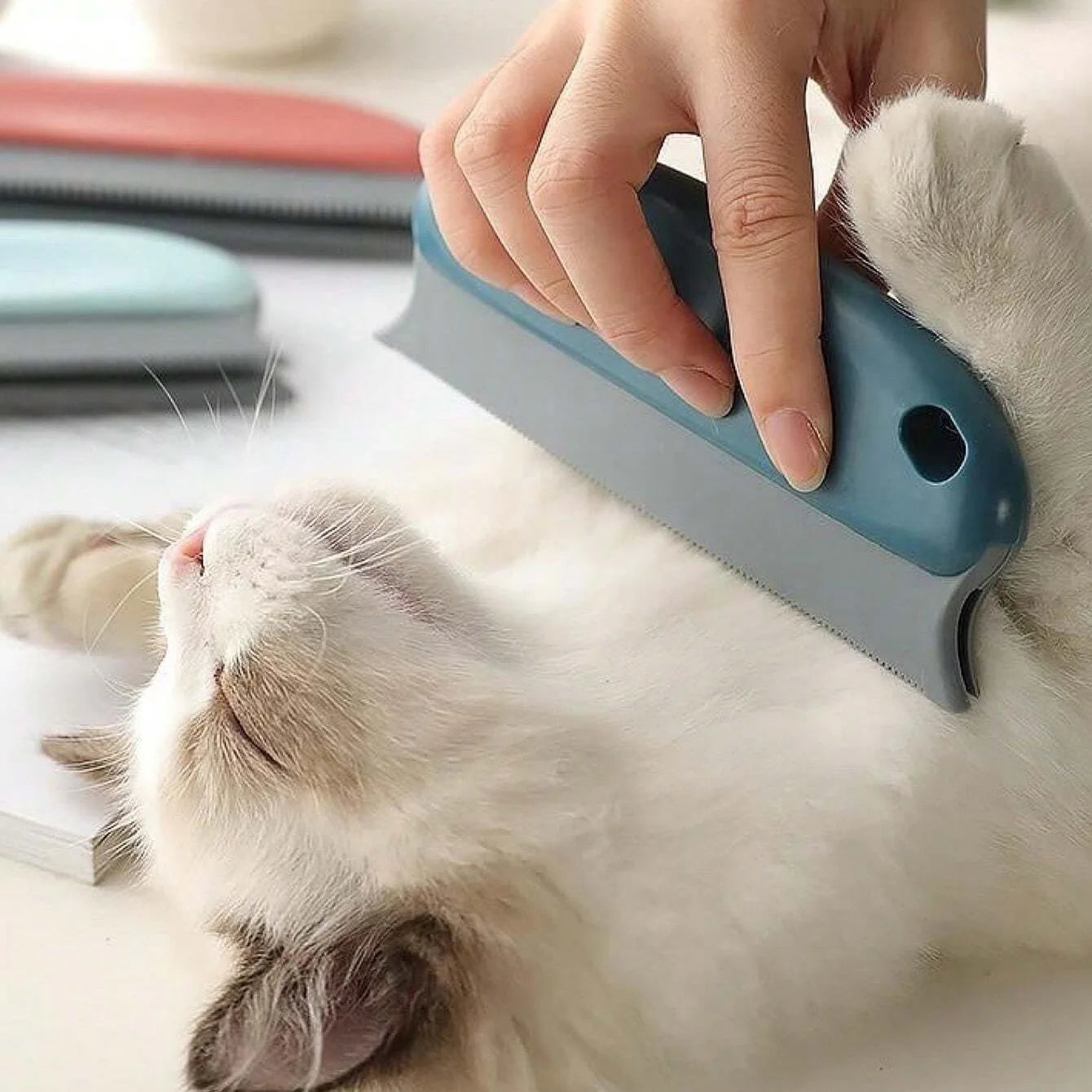 Plastic Cat Comb and Brush – Grooming Tool for Cats