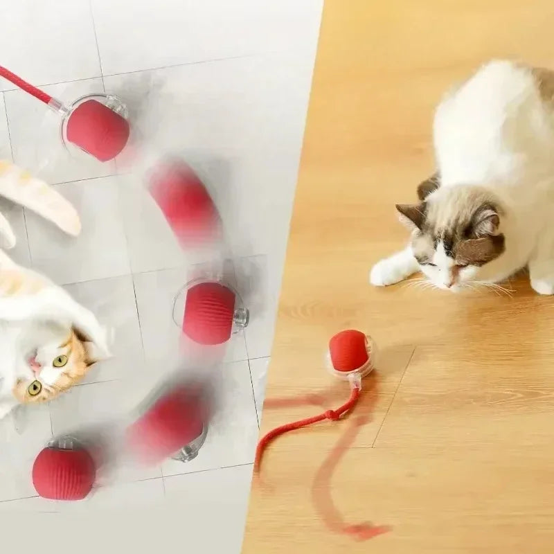 Interactive Smart Cat Toy Ball – USB Rechargeable Bouncy Ball with Tail – Automatic & Obstacle-Avoiding