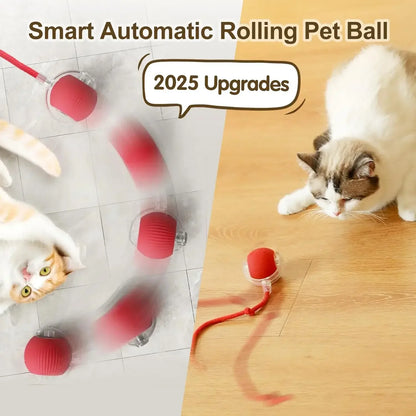 Interactive Smart Cat Toy Ball – USB Rechargeable Bouncy Ball with Tail – Automatic & Obstacle-Avoiding