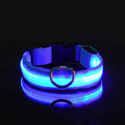 LED Light-Up Dog Collar – Adjustable Nylon Safety Collar with Battery – XS to XL Sizes