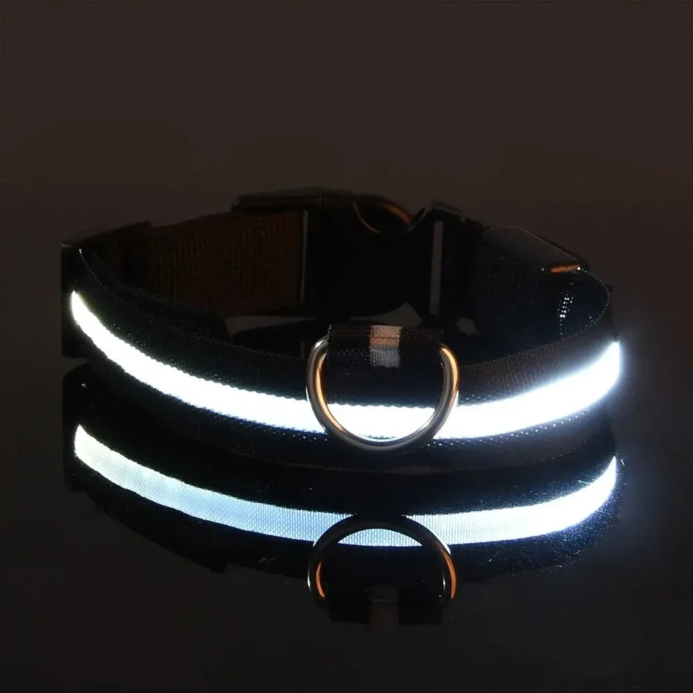 LED Light-Up Dog Collar – Adjustable Nylon Safety Collar with Battery – XS to XL Sizes