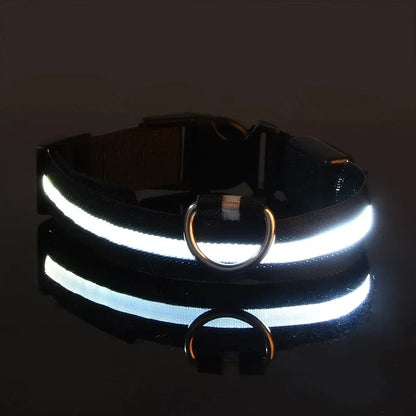 LED Light-Up Dog Collar – Adjustable Nylon Safety Collar with Battery – XS to XL Sizes