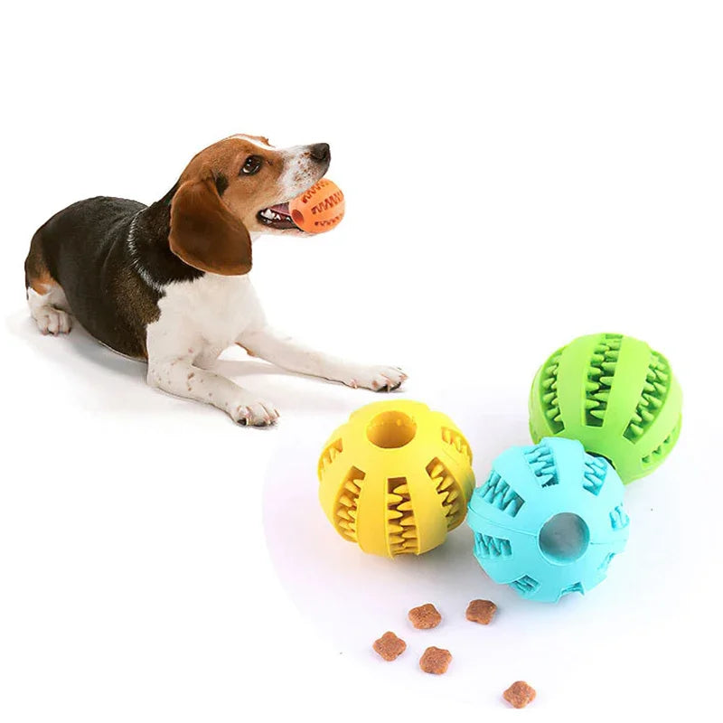 Interactive Rubber Dog Ball Toy