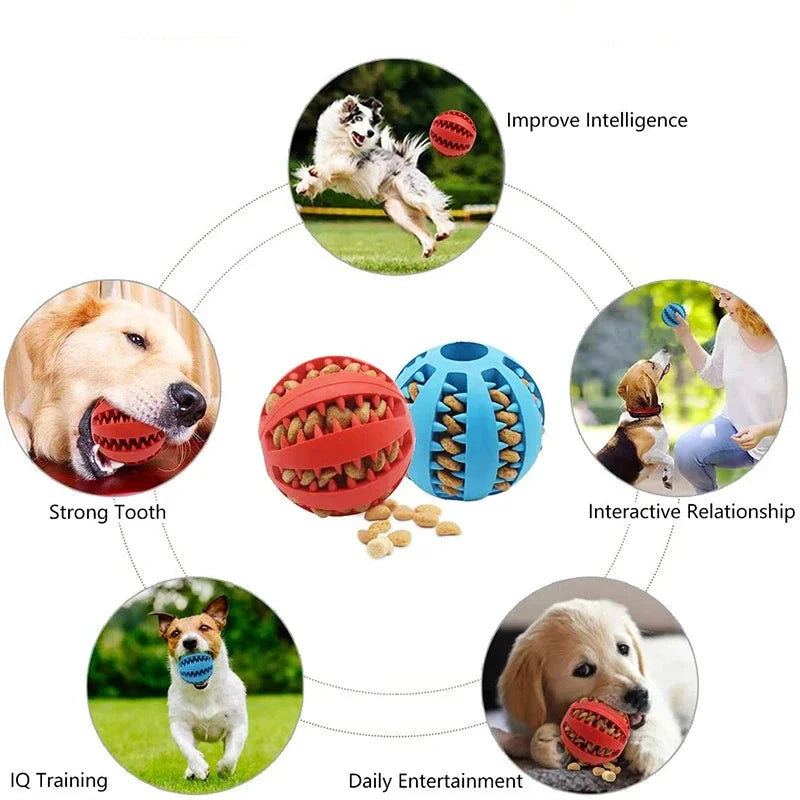 Interactive Rubber Dog Ball Toy