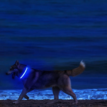 LED Light-Up Dog Collar – Adjustable Nylon Safety Collar with Battery – XS to XL Sizes