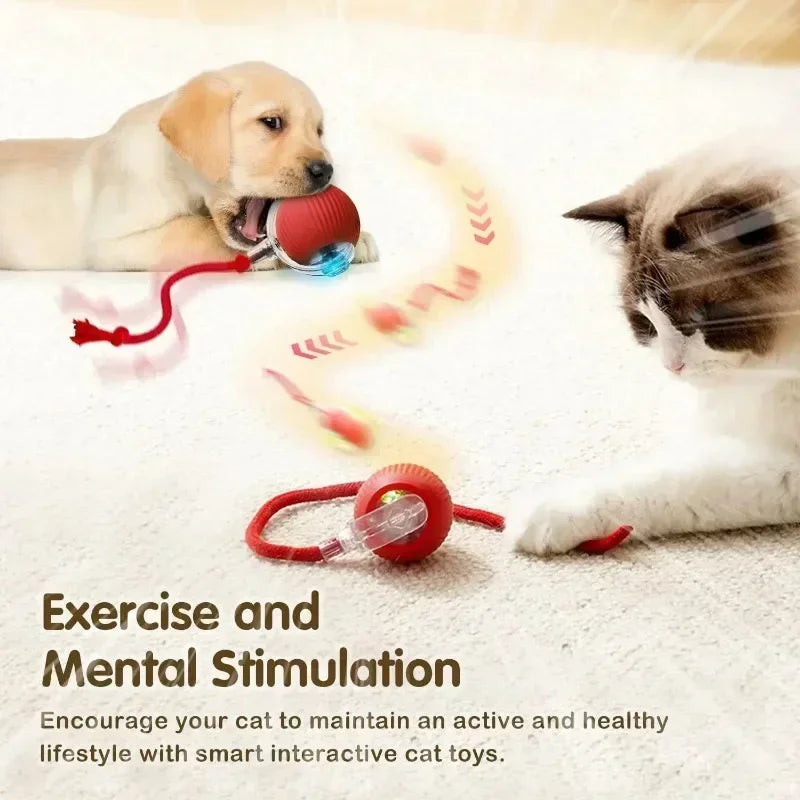 Interactive Smart Cat Toy Ball – USB Rechargeable Bouncy Ball with Tail – Automatic & Obstacle-Avoiding