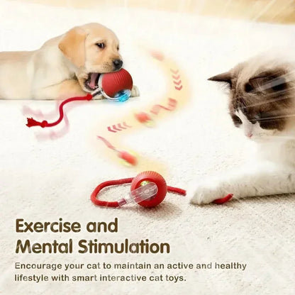Interactive Smart Cat Toy Ball – USB Rechargeable Bouncy Ball with Tail – Automatic & Obstacle-Avoiding