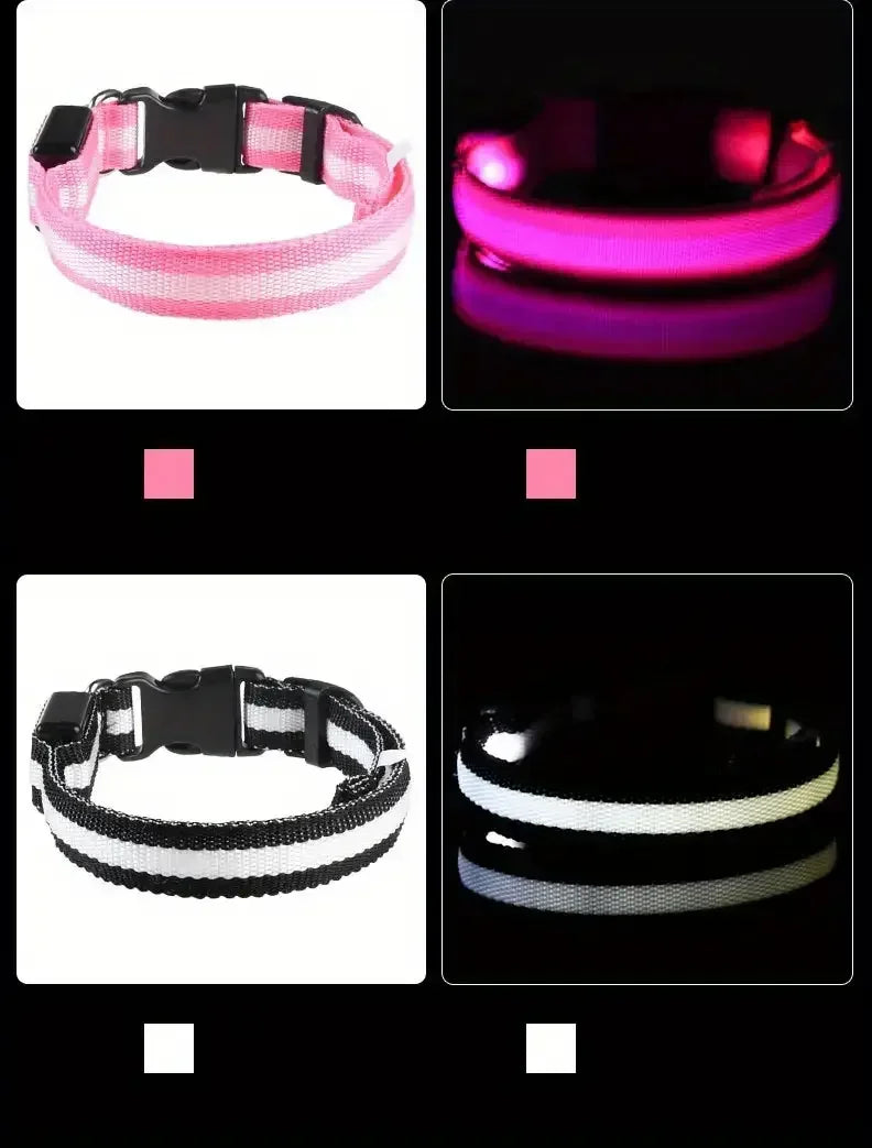 LED Light-Up Dog Collar – Adjustable Nylon Safety Collar with Battery – XS to XL Sizes