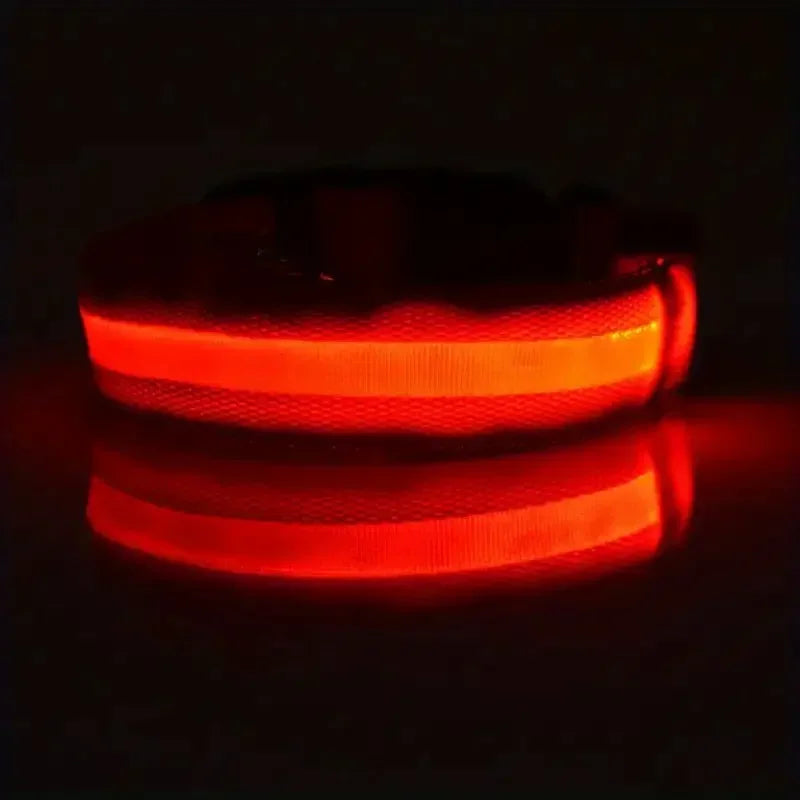 LED Light-Up Dog Collar – Adjustable Nylon Safety Collar with Battery – XS to XL Sizes