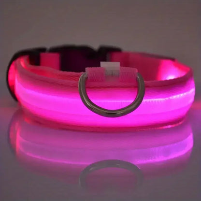 LED Light-Up Dog Collar – Adjustable Nylon Safety Collar with Battery – XS to XL Sizes