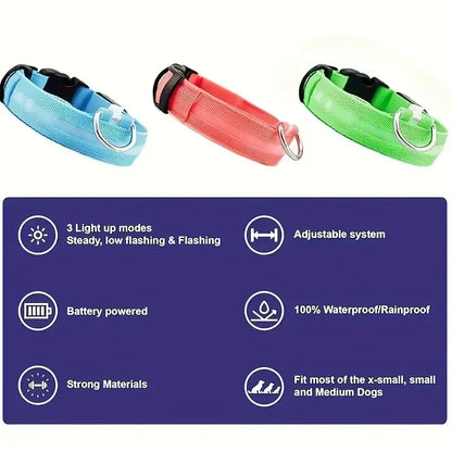 LED Light-Up Dog Collar – Adjustable Nylon Safety Collar with Battery – XS to XL Sizes