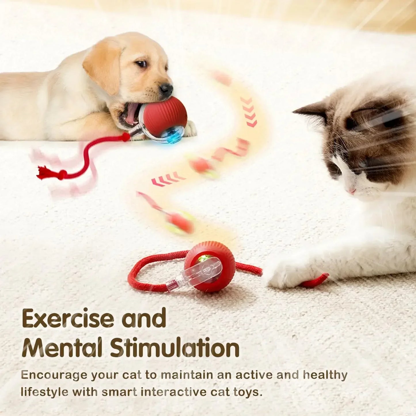Interactive Smart Cat Toy Ball – USB Rechargeable Bouncy Ball with Tail – Automatic & Obstacle-Avoiding