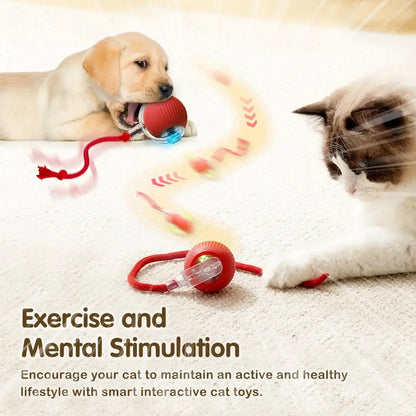 Interactive Smart Cat Toy Ball – USB Rechargeable Bouncy Ball with Tail – Automatic & Obstacle-Avoiding