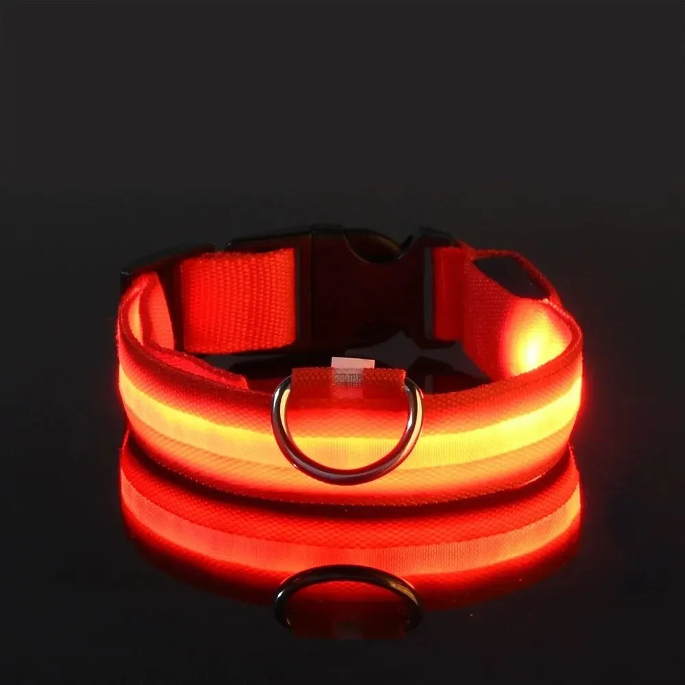 LED Light-Up Dog Collar – Adjustable Nylon Safety Collar with Battery – XS to XL Sizes