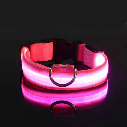 LED Light-Up Dog Collar – Adjustable Nylon Safety Collar with Battery – XS to XL Sizes